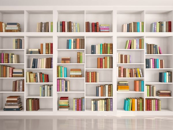 Bookshelf Assembly in Bellevue